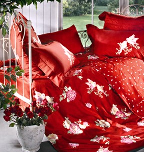 ��[�Ŵ�Ʒ���(��i)ϵ��ȫ������