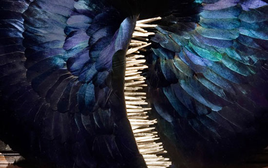 ��(chu��ng  )�����}����(d��ng)ϵ����ë����