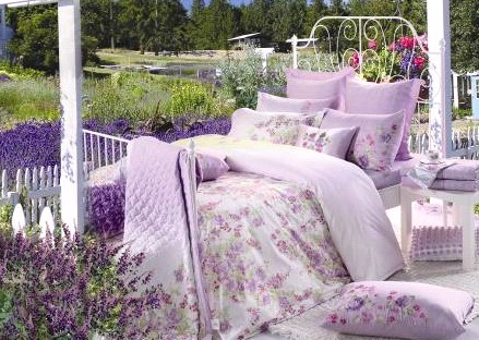 �����z���(y��ng)�����_��˹ ����޹�²��L(f��ng)��