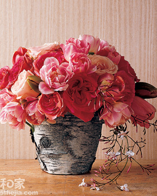 �ؚw��Ȼ��(sh��)ľ���͵��b���(��)