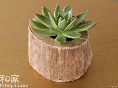 �ؚw��Ȼ ��(sh��)ľ���͵��b���(��)