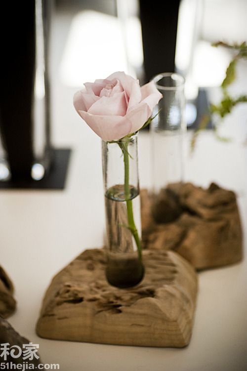 �ؚw��Ȼ��(sh��)ľ���͵��b���(һ)