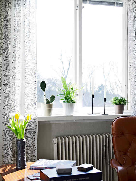 ��ɫ�{��͆�����Ԣ��