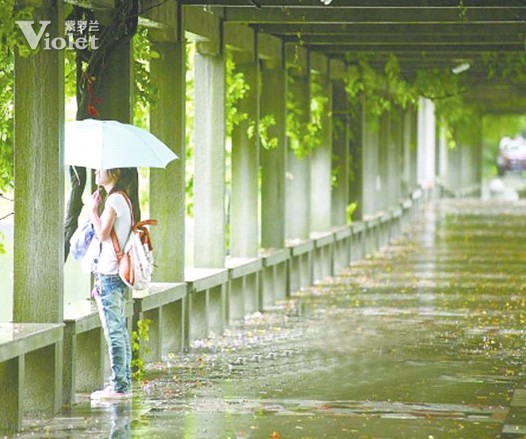 ÷�꼾�� ���_�m���ĺ��o������ʳס��