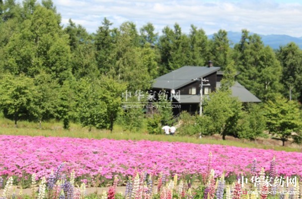 ����Ҽ���푡���(��i)�ڲ��������ϱ����������(d��ng)������