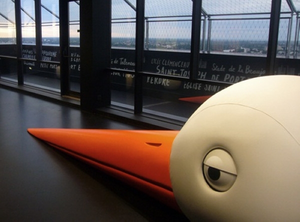 �����B(ni��o)�����η����������B(ni��o)���ư�