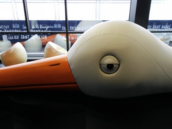 �����B(ni��o)�����η����������B(ni��o)���ư�