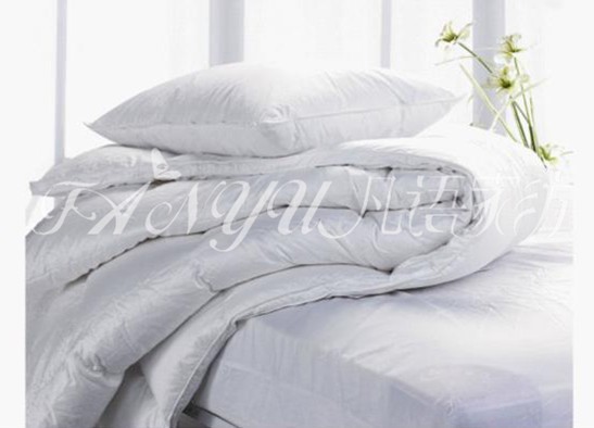 ���Z(y��)�Ҽ������x�桰о