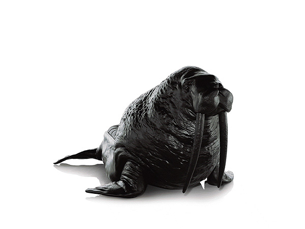 �A�����Ą�(d��ng)����