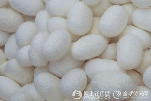 �Ĵ��Qɣ�z�I�a(ch��n)�I(y��)�l(f��)չҎ��ͨ�^(gu��)��(zhu��n)���u��