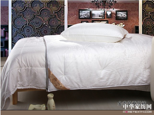 �Ӊ�(m��ng)�R�Ҽ������M(j��n)��о����Đ�(��i)