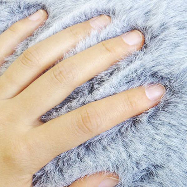 ����Ą�(d��ng)����ӣ�AnimalStool��