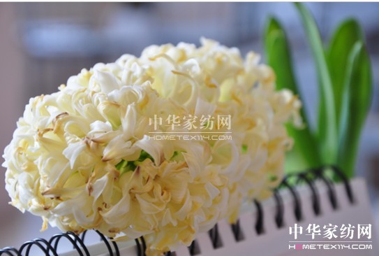 ���z������էů ��(��i)�����C