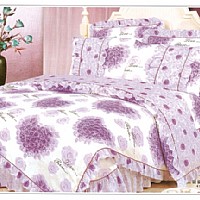 ���ې�(��i)�飨�ϣ�