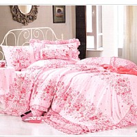 �ԉ�(m��ng)���㣨�ۣ�