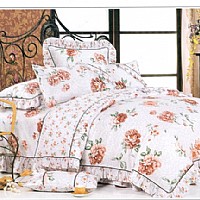 ��퍣��ۣ�