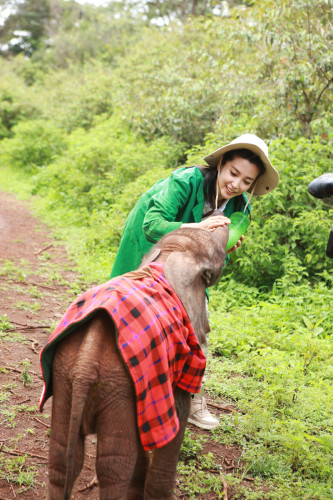 ���������