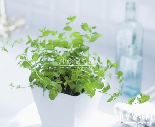 ������Ʒ������ 55���ˮ��(l��i)��ϴ