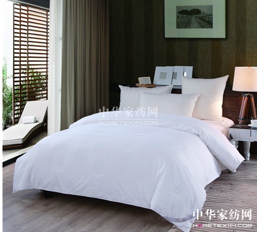 ���z���z���g�� ������������