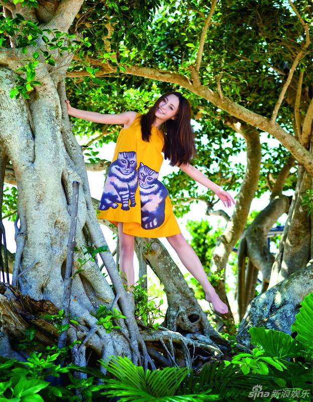 Ҧ���������Ό�(xi��)��ጷſ옷(l�� )��w