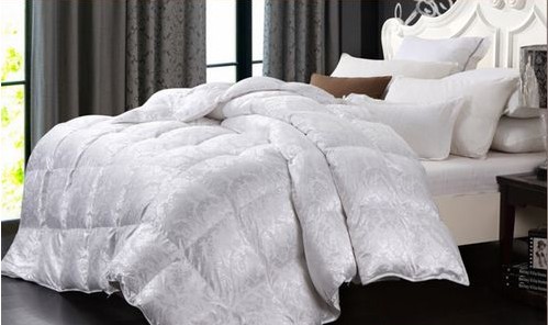 �Ҽ�Ʒ���pʮһ�A�ۡ����������M��