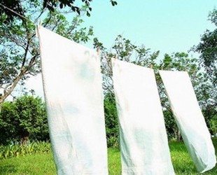 �����ޱ���(hu�� )�������f(w��n)���x(ch��ng)