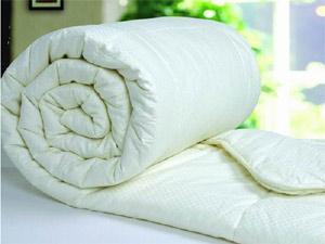 �������ُ�I(m��i)�ޱ���