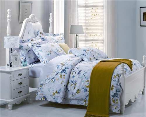 ���Ő�(��i)��ʥ���R