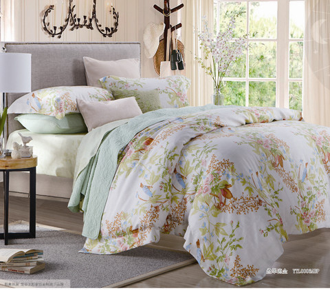 ҹ�������w���������