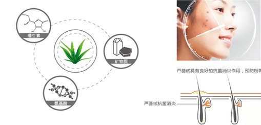 �{Ʒ�Ƽ�������Ȼ���B������