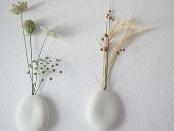 �Gɫֲ���b�c(di��n)����