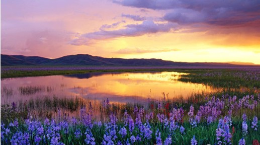 �W�ɼҼ����c����s����������