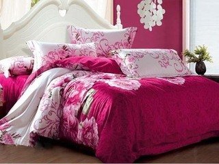 �Ҽ��z���°��� ���M����ô�k��