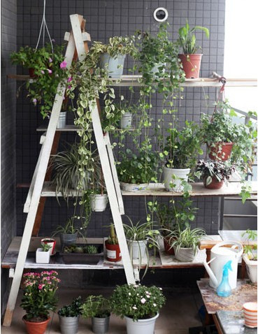 ��(chu��ng  )���f��ͳɱ����삀(g��)���¿��g��2��