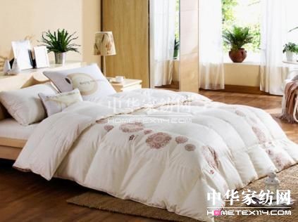 ���A�Ҽ��W(w��ng)�ĳ��L(ch��ng)֮·