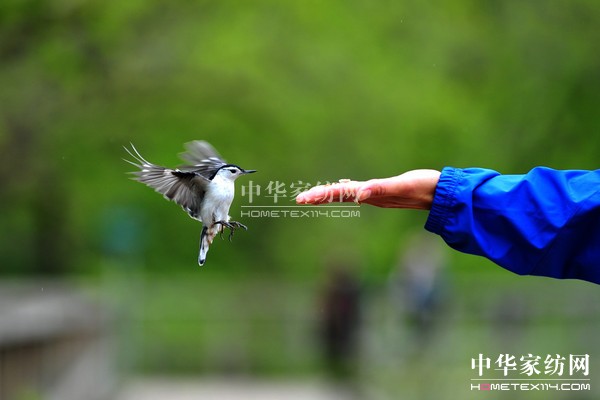 ��ُ��Ϋ@��͵����θ���