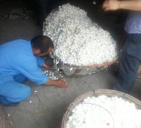 ͩ�l�����d�ȵ��_(k��i)ʼ��ُ���괺�O