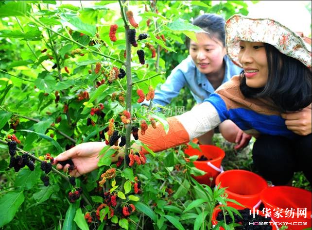 ���ýz�I��ɣ�ز�ժ���A�M(m��n)��Ļ