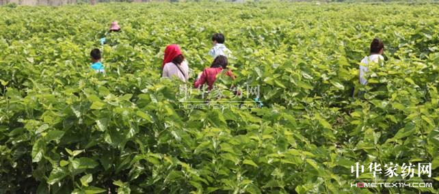 ���ýz�I��ɣ�ز�ժ���A�M(m��n)��Ļ