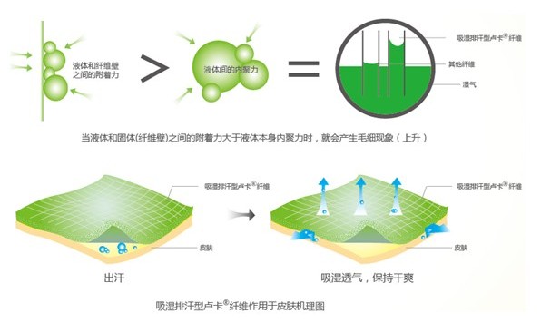 �ļ���Ʒ�o�B����ϴ��߀����