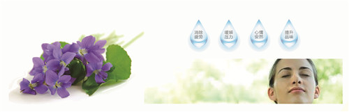 �{�׷���R���w�S���������z�y����ȫ�ɿ�