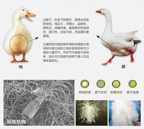 �W�ɼҼ����������u(m��i)�������xُ��Ʒ����q��