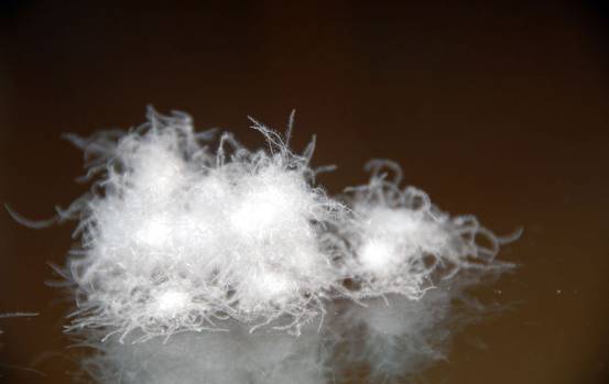 �W�ɼҼ����������u(m��i)�������xُ��Ʒ����q��