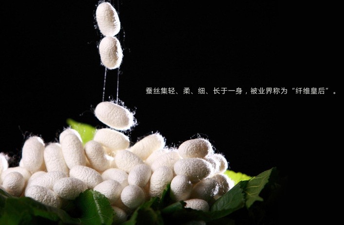 �Q�z���ăr(ji��)ֵ����