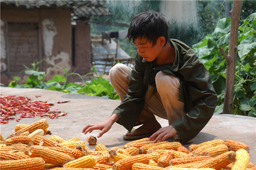 Ʒ�|(zh��)58�����(m��ng)���Ҽ��cȫ���(��i)����һͬ��(m��ng)��