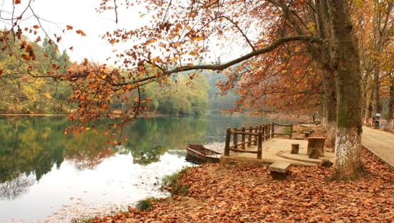 ɼɼ�Ҽ����@��(g��)�������c�ゃ��һ��