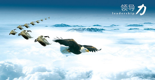 �ŷN����Ҫ���I(l��ng)����