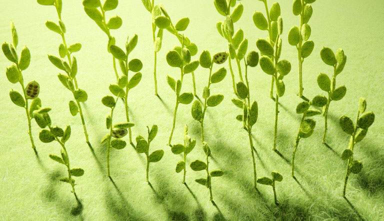 ���Ђ����I(l��ng)���߶��߂�����|(zh��)