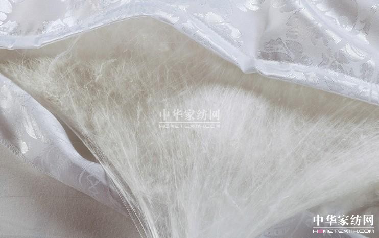 һ�^(gu��n)������ ����Q�z���y��