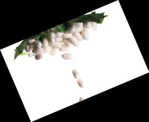 �Q�z���q�r(ji��)������](m��i)�ך���